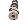 Camshaft Kit5.7 Hemi MDS Camshaft 53022263AF, Billet Steel Cam Replacement for 2009-2019 Dodge Ram 1500 Durango 5.7L V8