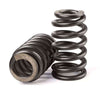 Valve Spring600"Drop In Beehive Valve Springs & 7.400" 5/16" Chrome Pushrods for Chevrolet GM Cadillac LS1 LS2 LS3 LS6