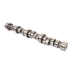 Camshaft Kit5.7 Hemi MDS Camshaft 53022263AF, Billet Steel Cam Replacement for 2009-2019 Dodge Ram 1500 Durango 5.7L V8