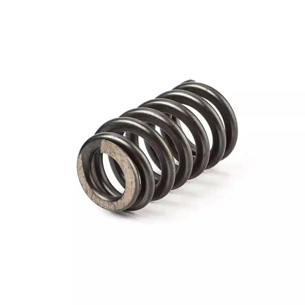 LS Valve Springs PAC1218 Racing Valve Springs Compatible with GM LS Engine 4.8 5.3 6.0 (.600'' Lift Rated)